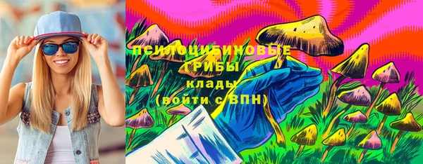 Альфа ПВП Магас