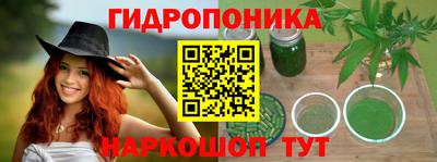 гидра Берёзовский