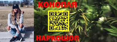 гидра Берёзовский