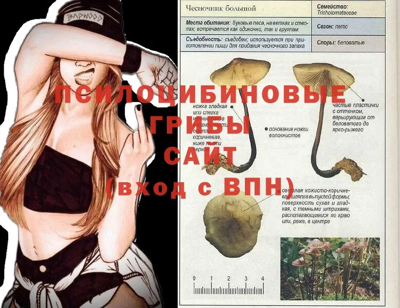 Псилоцибиновые грибы Magic Shrooms Октябрьский