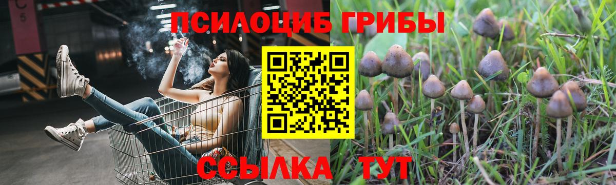 Псилоцибиновые грибы мухоморы Октябрьский